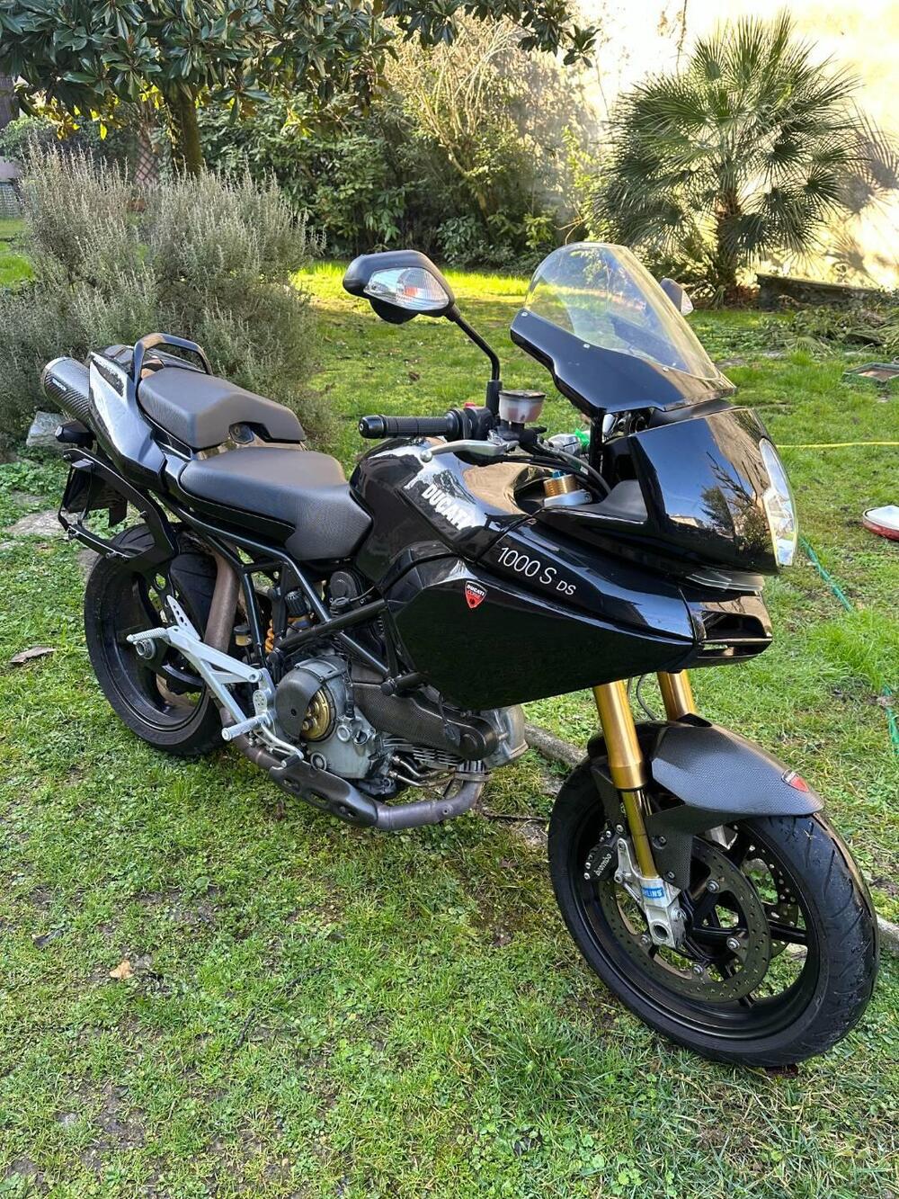 Ducati Multistrada 1000 DS (2003 - 06) (3)