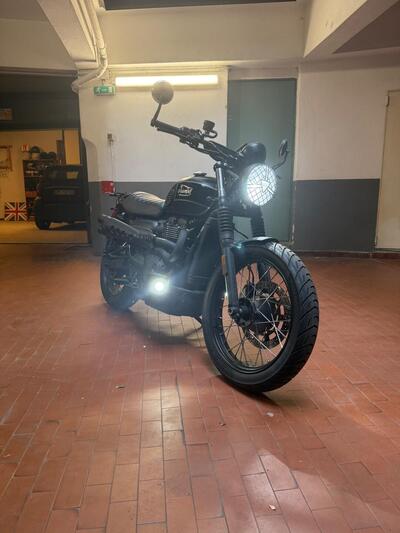 Triumph Street Scrambler 900 (2021 - 22) usata