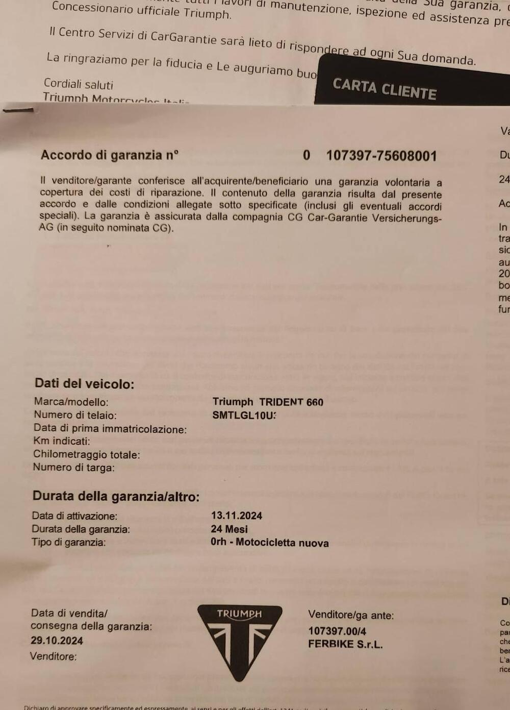 Triumph Trident 660 (2021 - 24) (7)