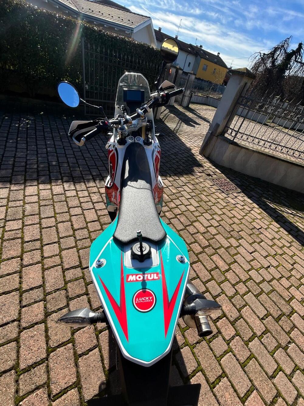 Kove 450 Rally Lucky Explorer Replica (2025 - 26) (3)