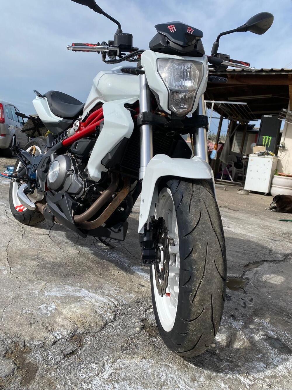 Benelli BN 302 (2014 - 16) (2)