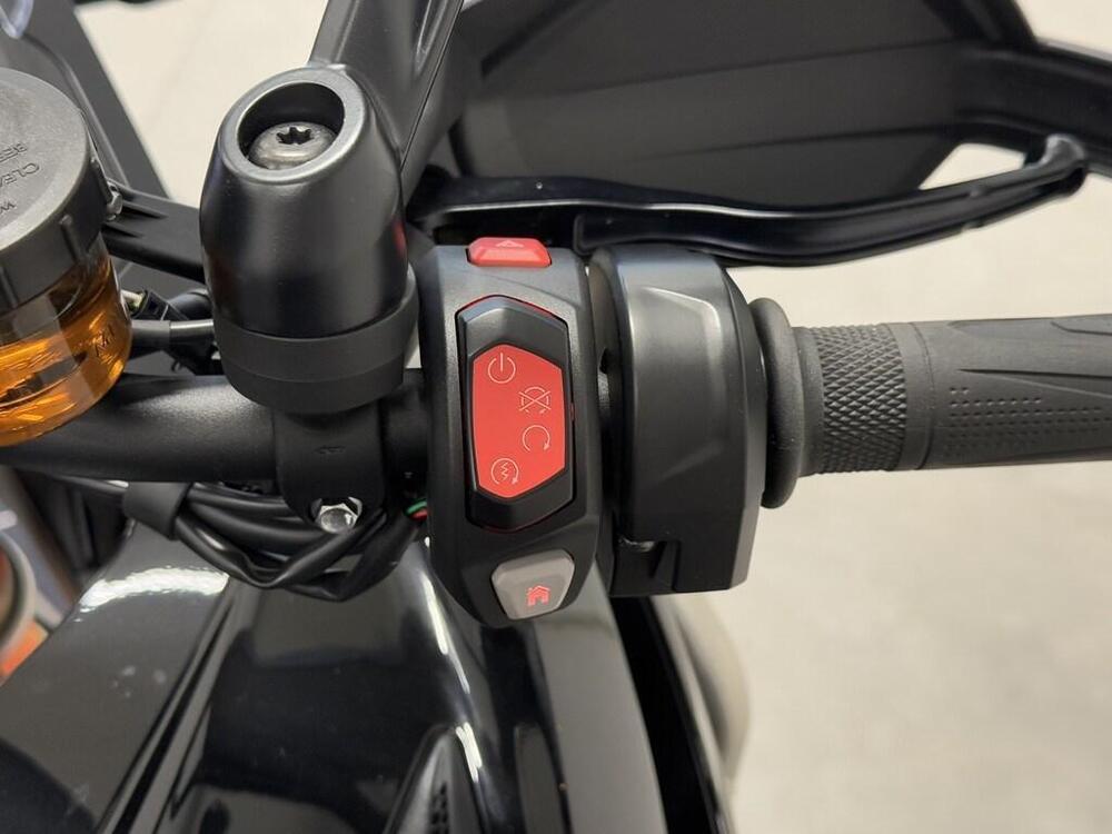 Triumph Tiger 1200 Rally Explorer (2022 - 23) (9)