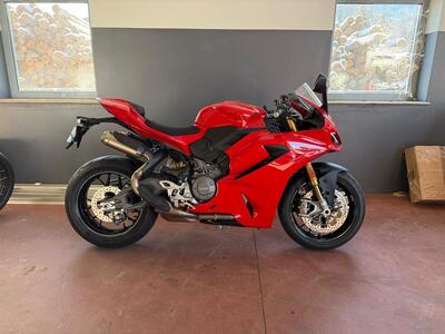 Ducati Panigale V2 (2025 - 26) usata