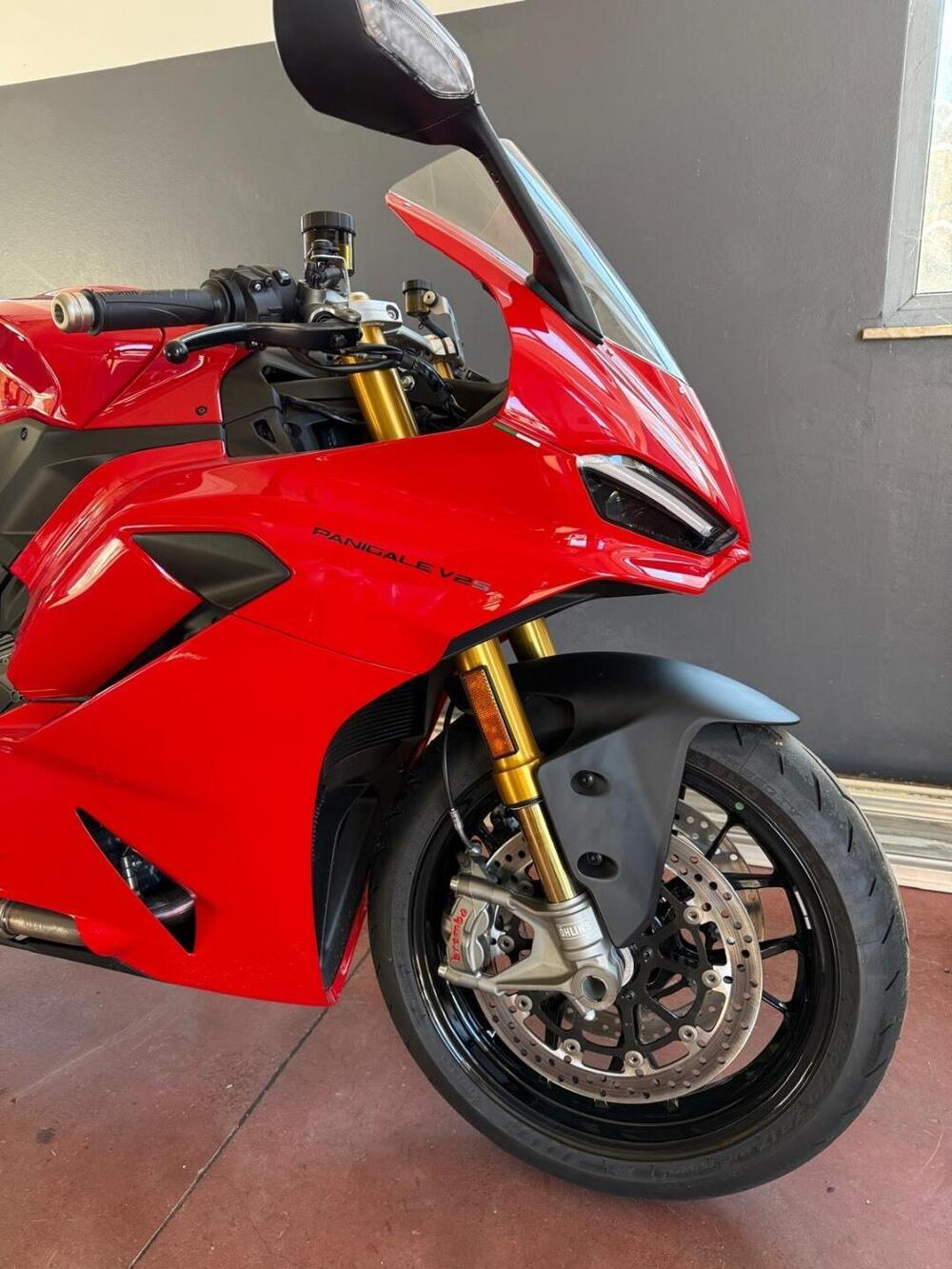 Ducati Panigale V2 (2025 - 26) (2)