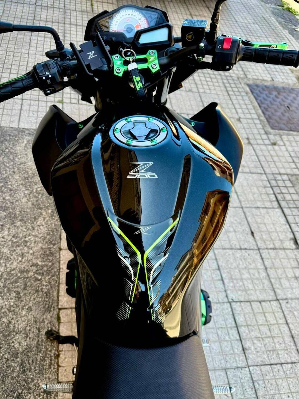 Kawasaki Z 300 ABS (2015 - 16) (2)