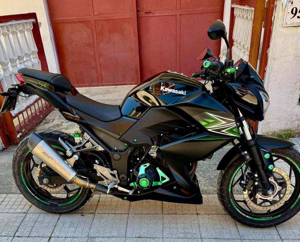 Kawasaki Z 300 ABS (2015 - 16) (5)