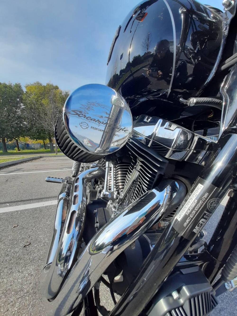 Harley-Davidson 1584 Wide Glide (2007 - 11) - FXDWG (3)