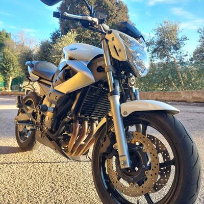 Yamaha XJ6 (2008 - 15) usata