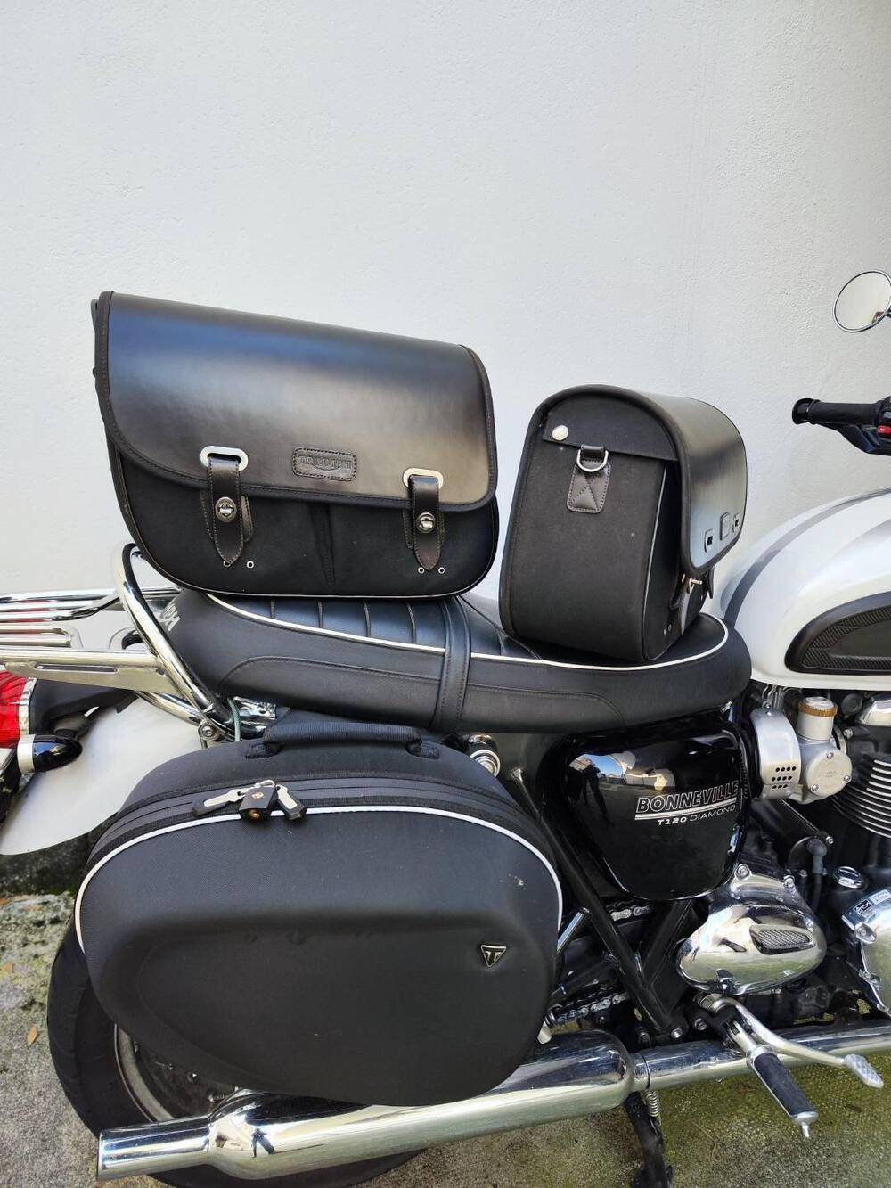 Triumph Bonneville T120 Diamond Edition (2019) (4)