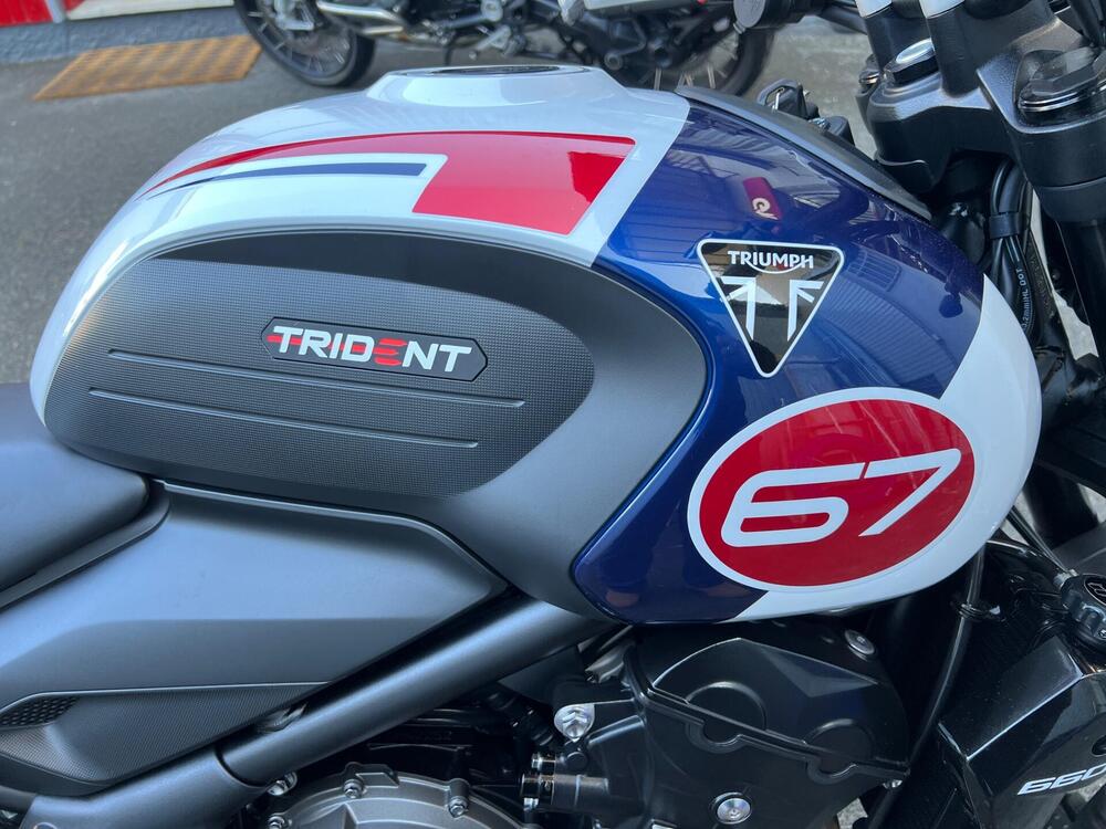 Triumph Trident 660 Triple Tribute Edition (2024) (6)