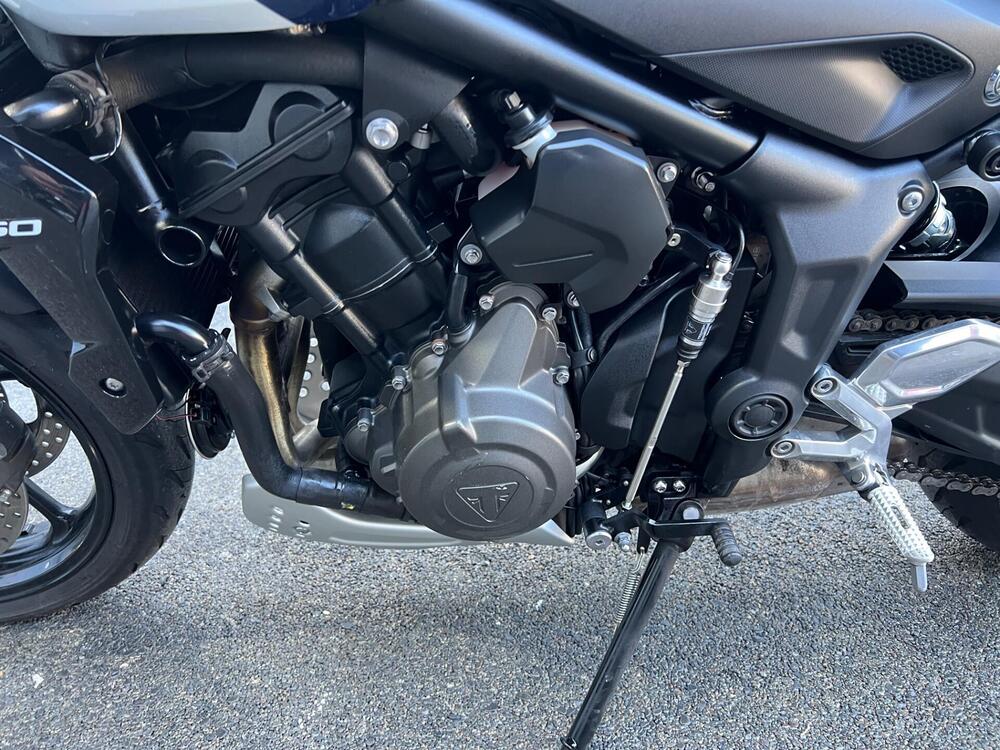 Triumph Trident 660 Triple Tribute Edition (2024) (12)