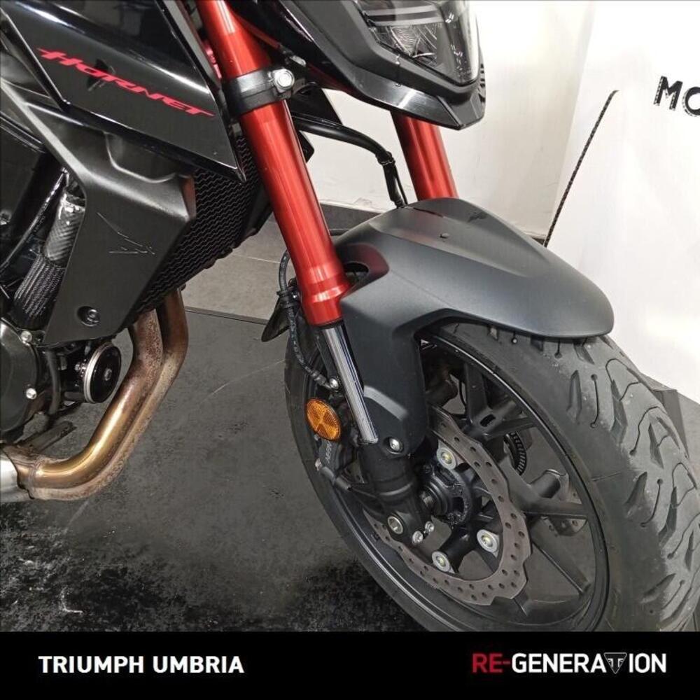 Honda CB 750 Hornet (2023 - 24) (10)