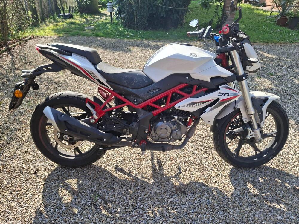 Benelli BN 125 (2021 - 25) (3)