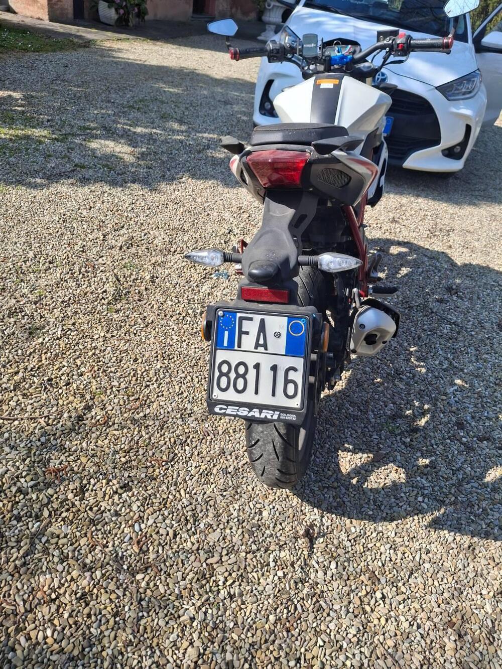 Benelli BN 125 (2021 - 25) (4)