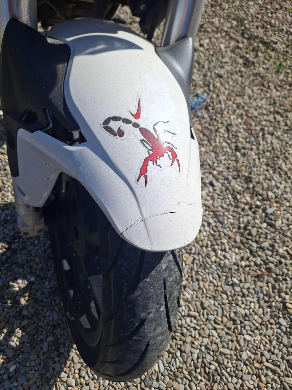 Benelli BN 125 (2021 - 25) (6)