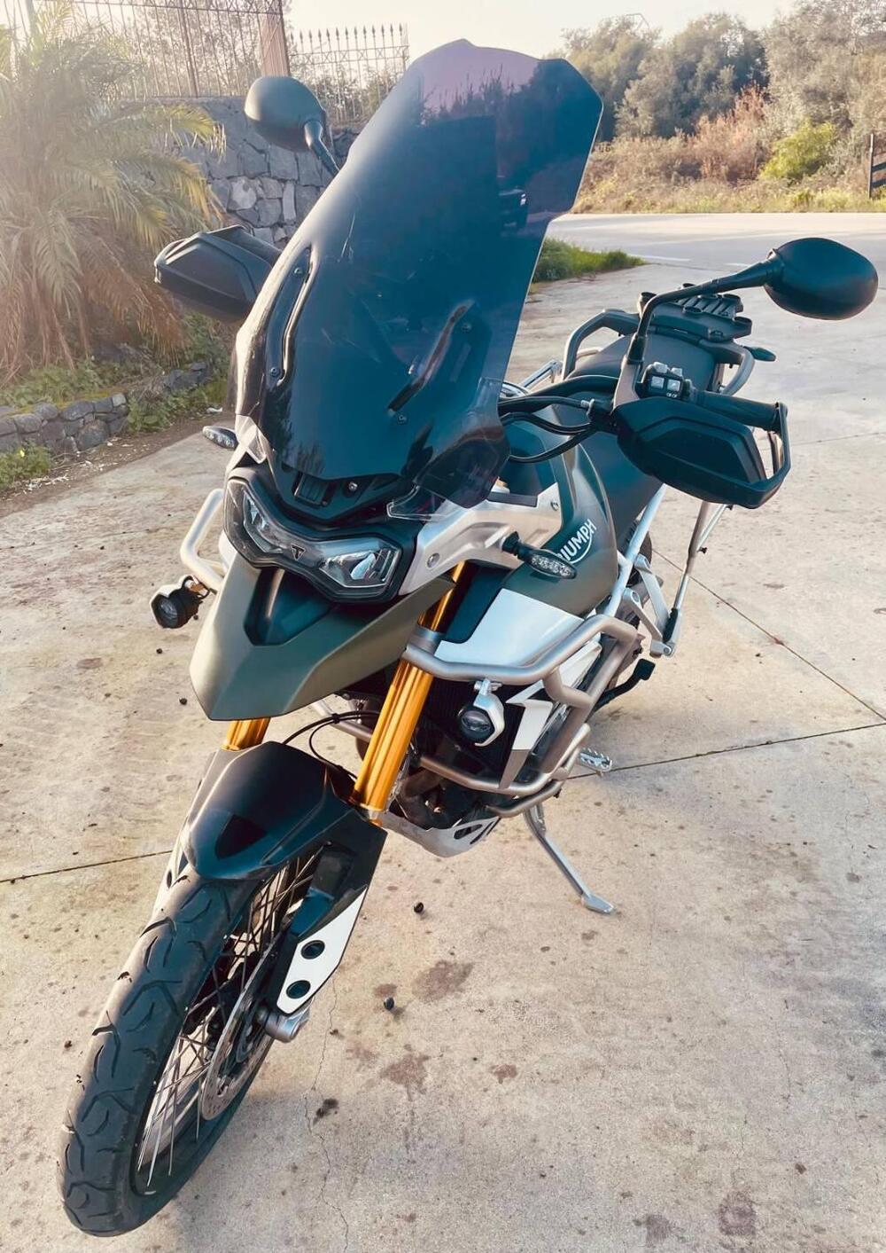Triumph Tiger 900 Rally Pro (2020 - 23) (3)
