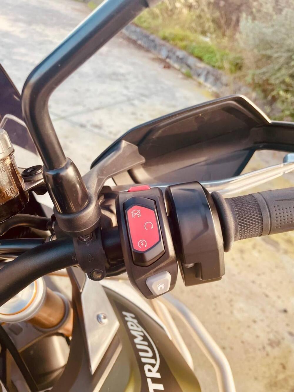 Triumph Tiger 900 Rally Pro (2020 - 23) (11)