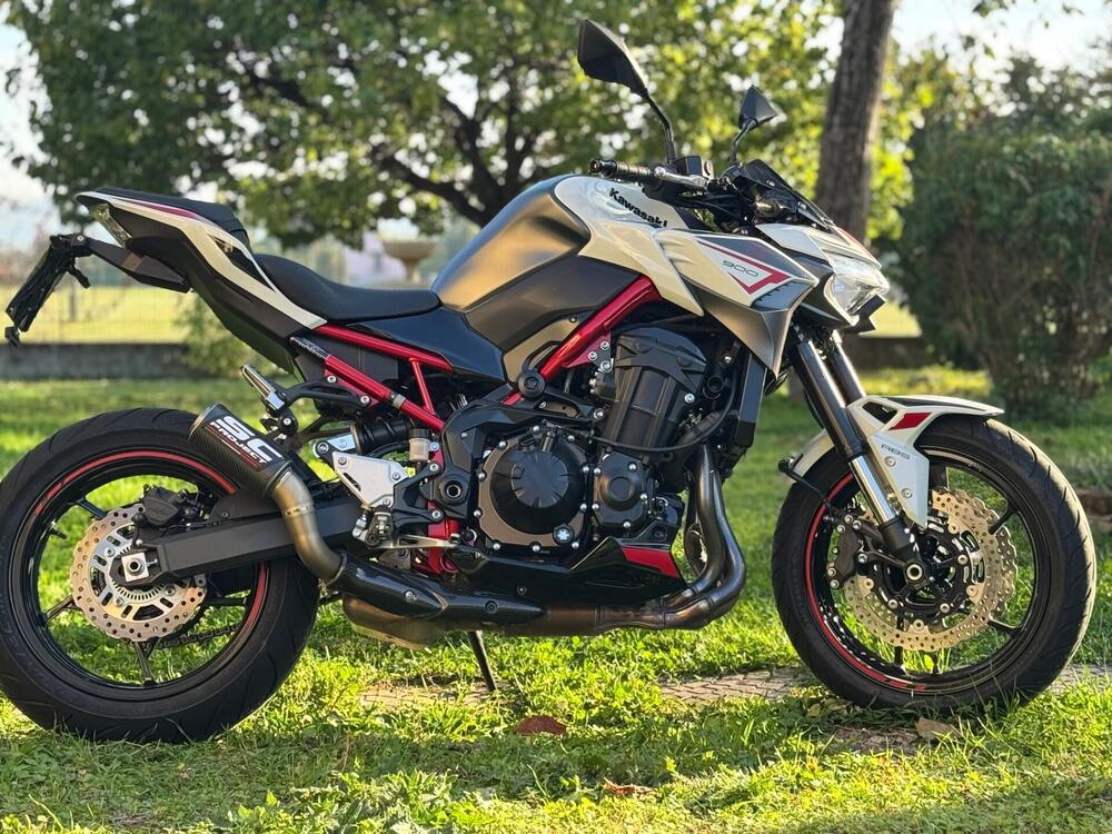 Kawasaki Z 900 (2021 - 24)