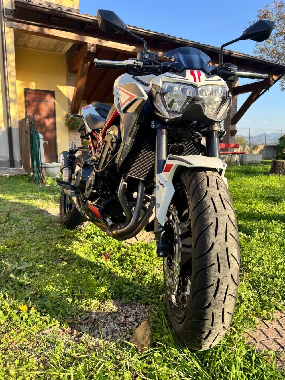 Kawasaki Z 900 (2021 - 24) (6)