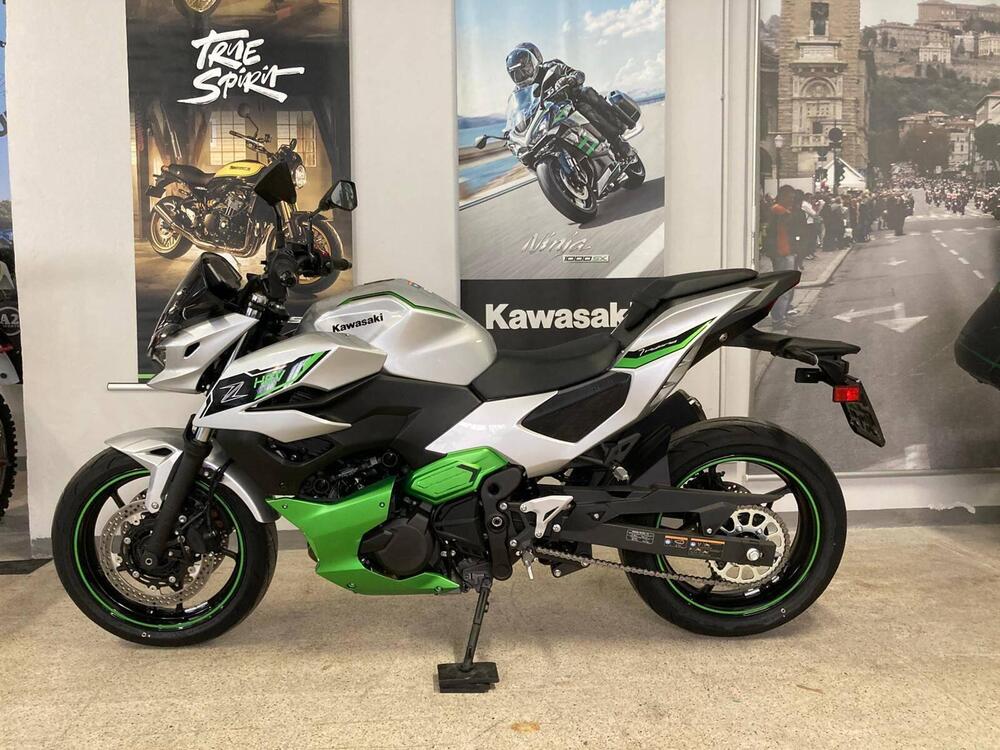 Kawasaki Z7 Hybrid (2024 - 25) (2)