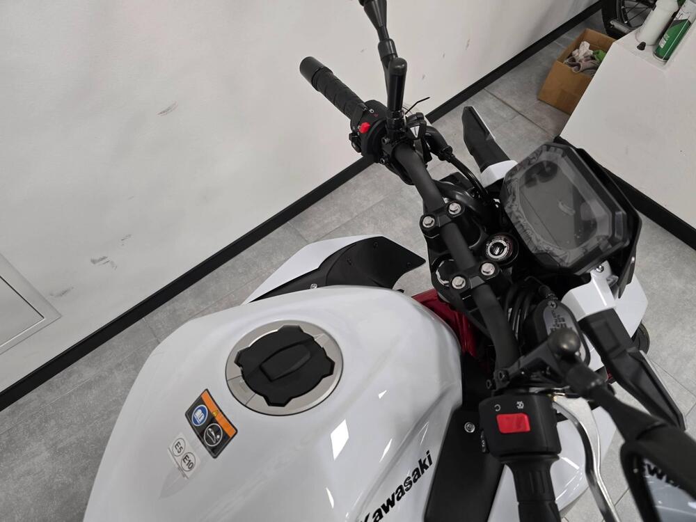 Kawasaki Z 500 SE (2024 - 26) (3)