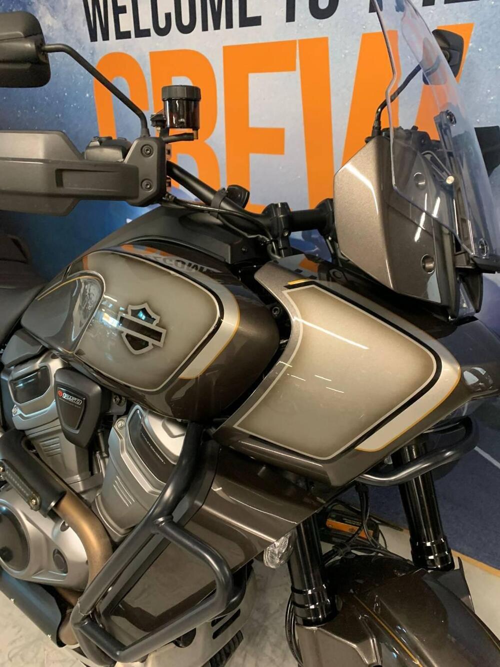 Harley-Davidson Pan America 1250 Special (2020 - 25) (3)