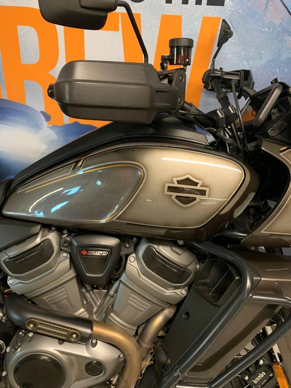 Harley-Davidson Pan America 1250 Special (2020 - 25) (4)