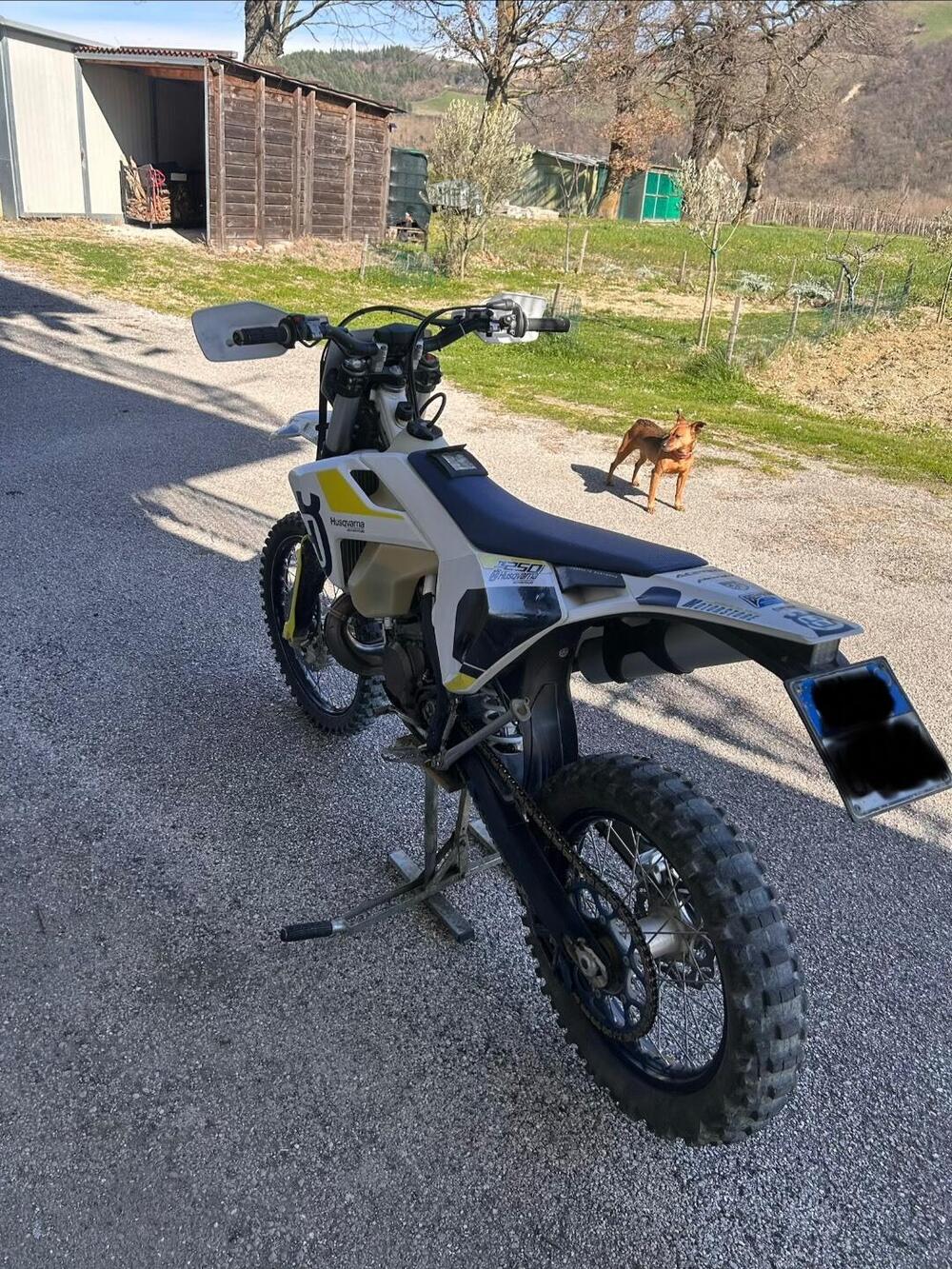 Husqvarna TE 250i (2019) (4)