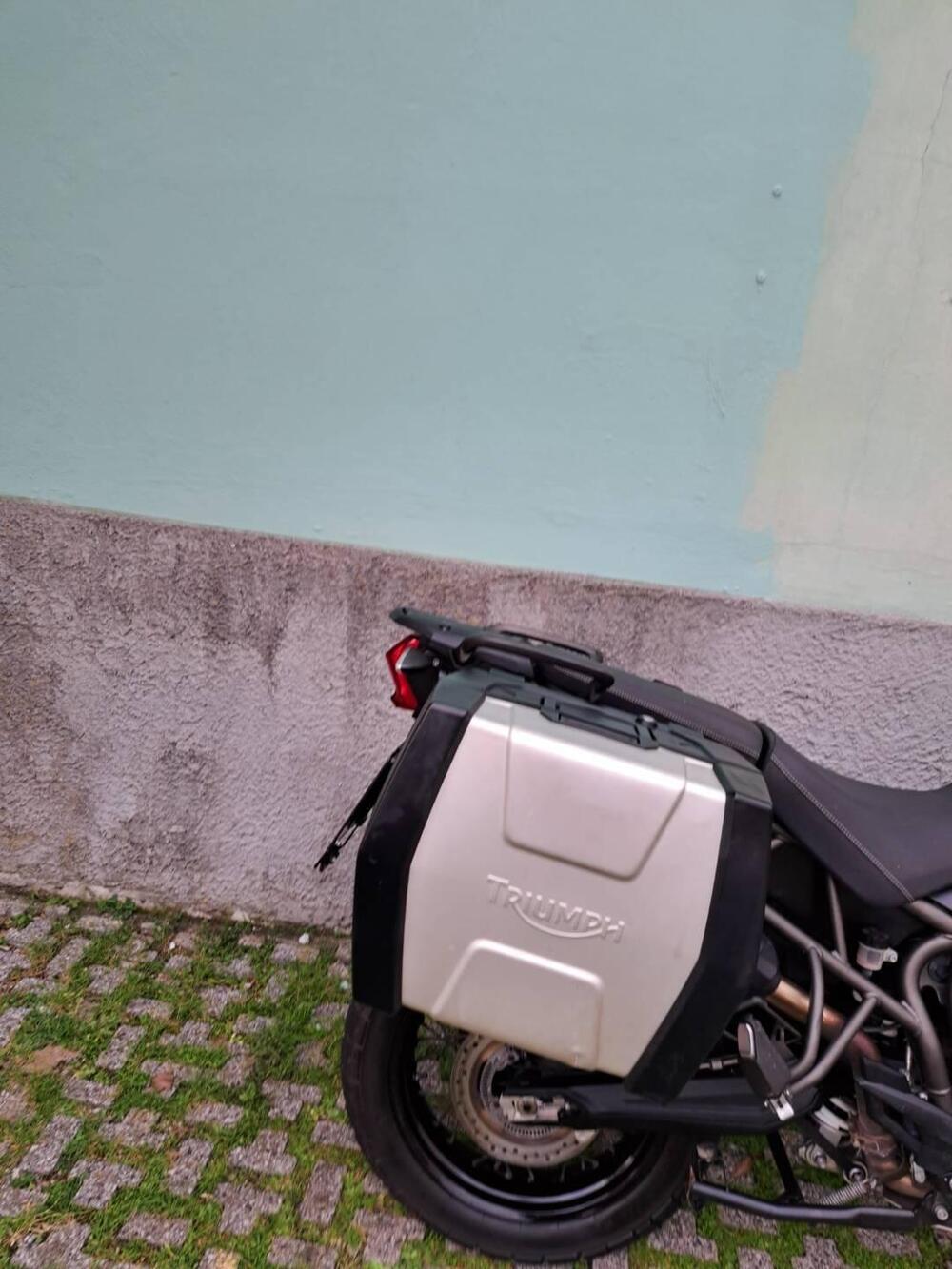 Triumph Tiger 800 XCx (2015 - 17) (10)