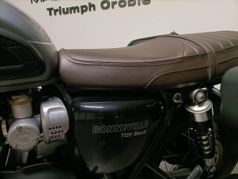 Triumph Bonneville T120 Black (2021 - 25) (7)