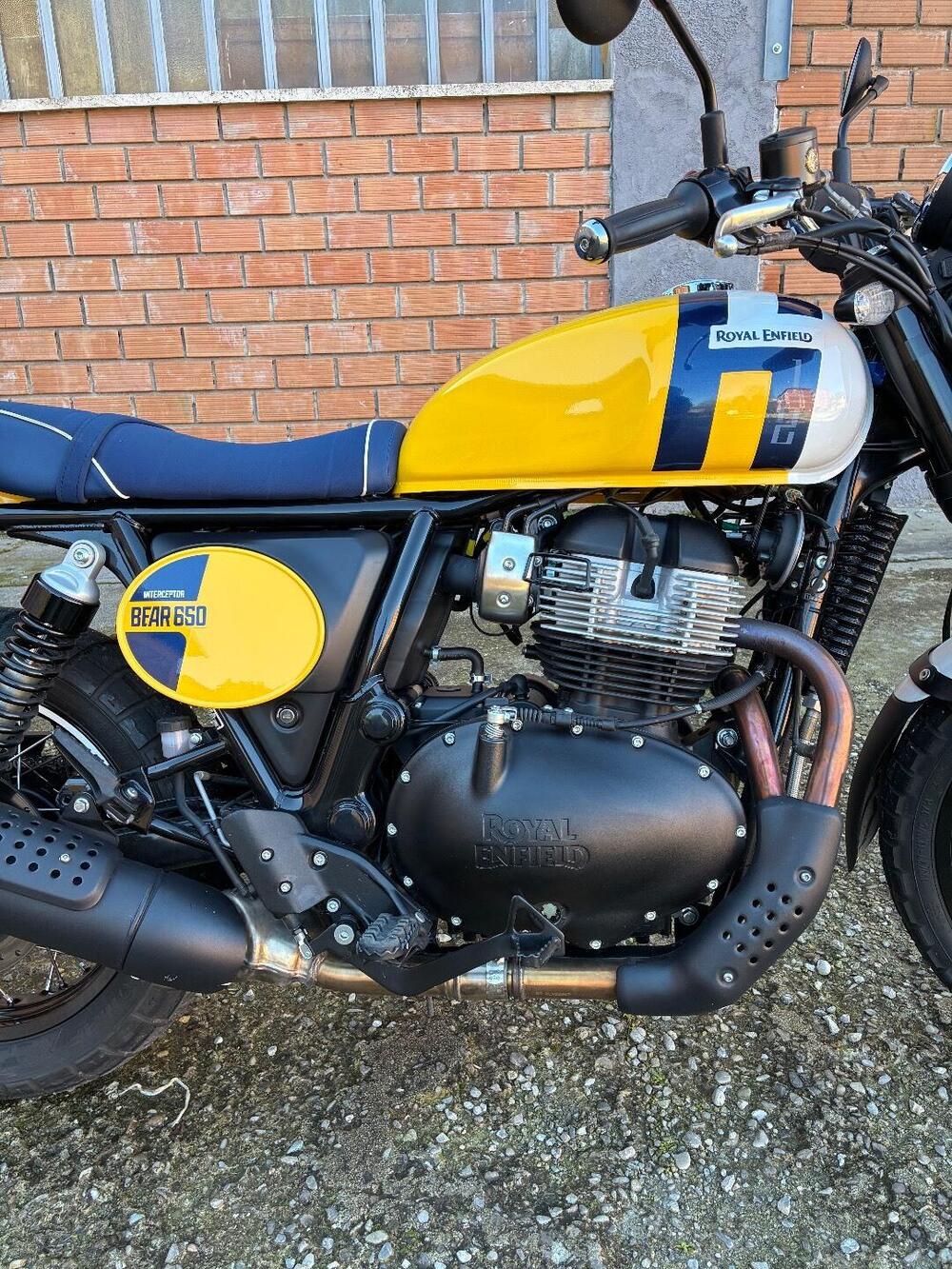 Royal Enfield Bear 650 (2025 - 26)