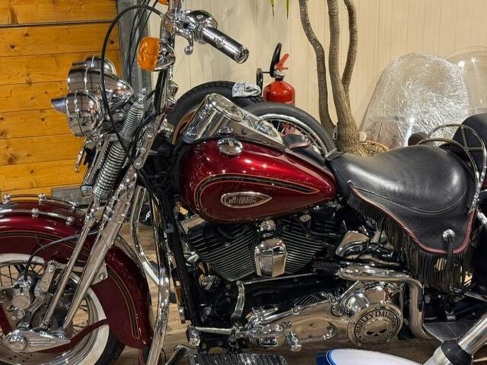 Harley-Davidson 1450 Heritage Springer (2000 - 03) - FLSTS (5)