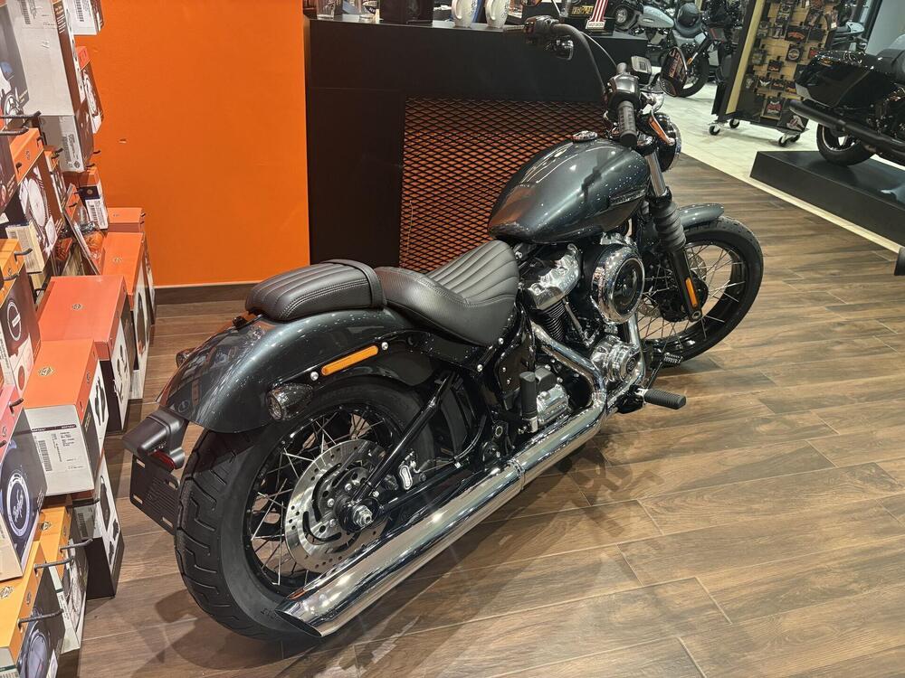 Harley-Davidson Street Bob 117 (2025 - 26) (3)