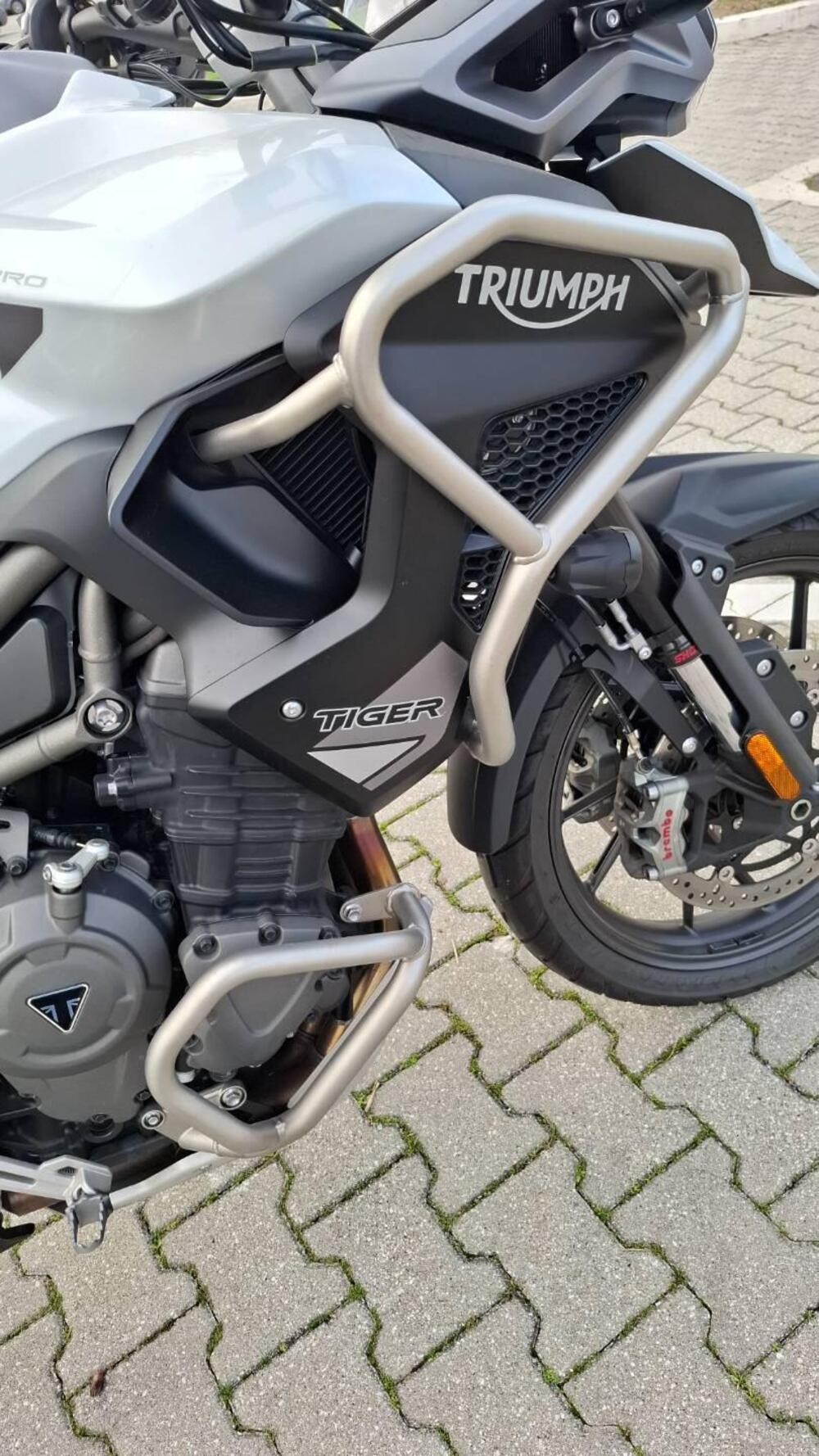 Triumph Tiger 1200 GT Pro (2022 - 23) (7)