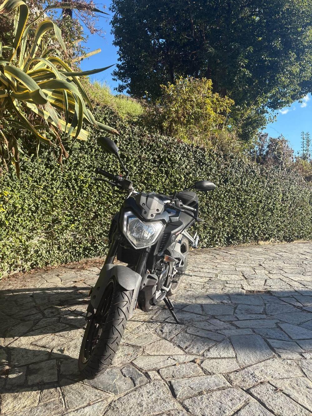 Yamaha MT-125 ABS (2017 - 19) (6)