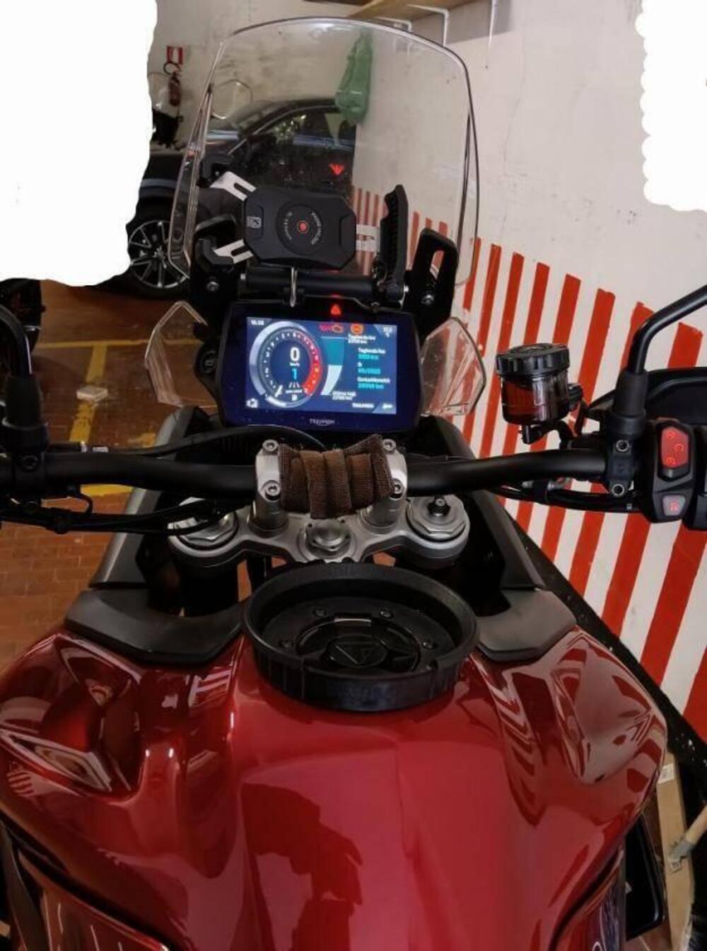 Triumph Tiger 900 GT Pro (2024 - 26) (5)