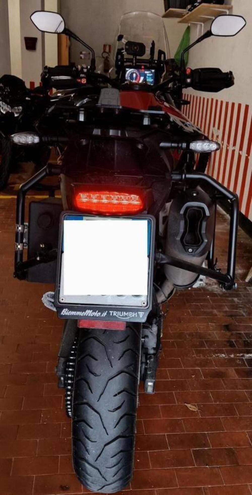 Triumph Tiger 900 GT Pro (2024 - 26) (7)