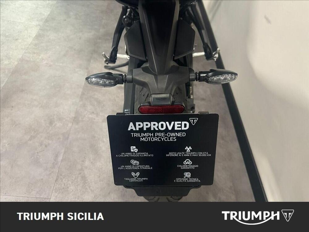 Triumph Tiger Sport 660 (2022 - 24) (18)