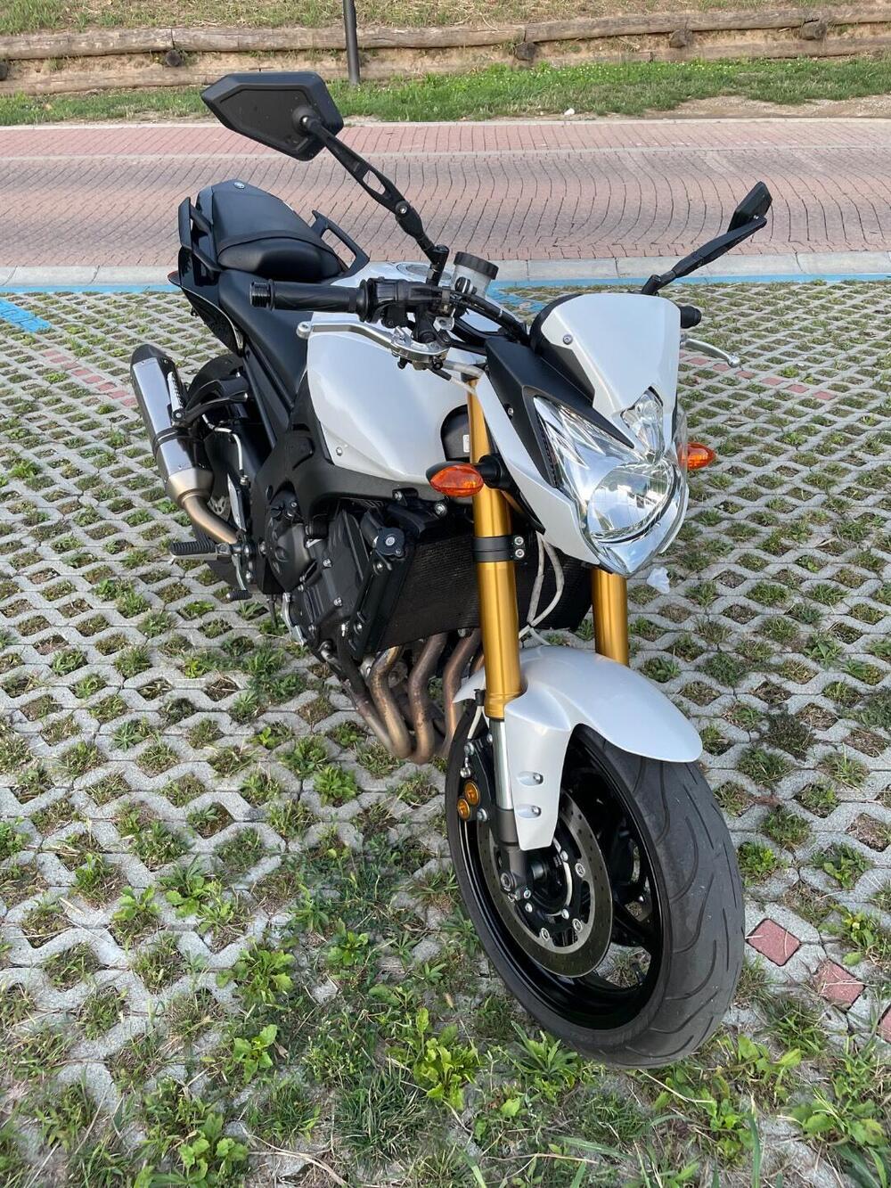 Yamaha FZ8 (2013 - 16) (4)