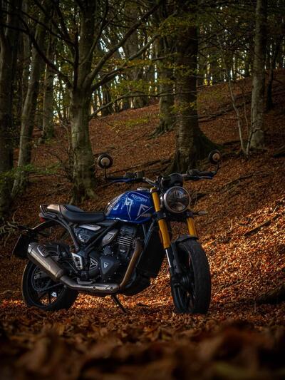 Triumph Speed 400 (2024 - 26) usata