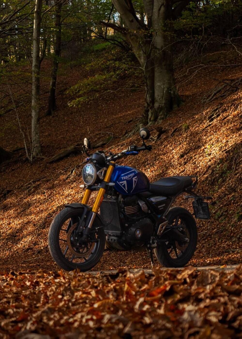 Triumph Speed 400 (2024 - 26) (2)