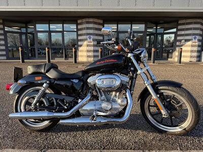 Harley-Davidson 883 SuperLow (2010 - 16) - XL 883L usata