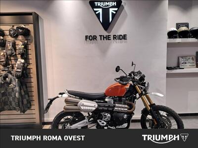 Triumph Scrambler 1200 XE (2024 - 25) usata