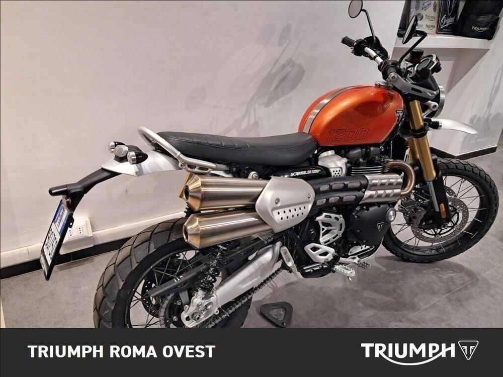 Triumph Scrambler 1200 XE (2024 - 25) (5)