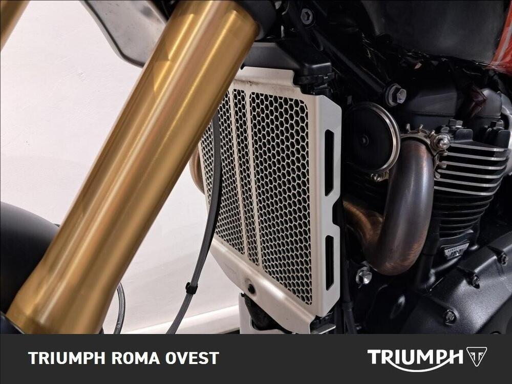 Triumph Scrambler 1200 XE (2024 - 25) (14)