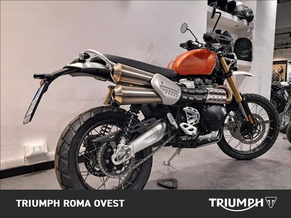 Triumph Scrambler 1200 XE (2024 - 25) (6)