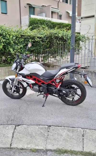 Benelli BN 125 (2021 - 25) usata