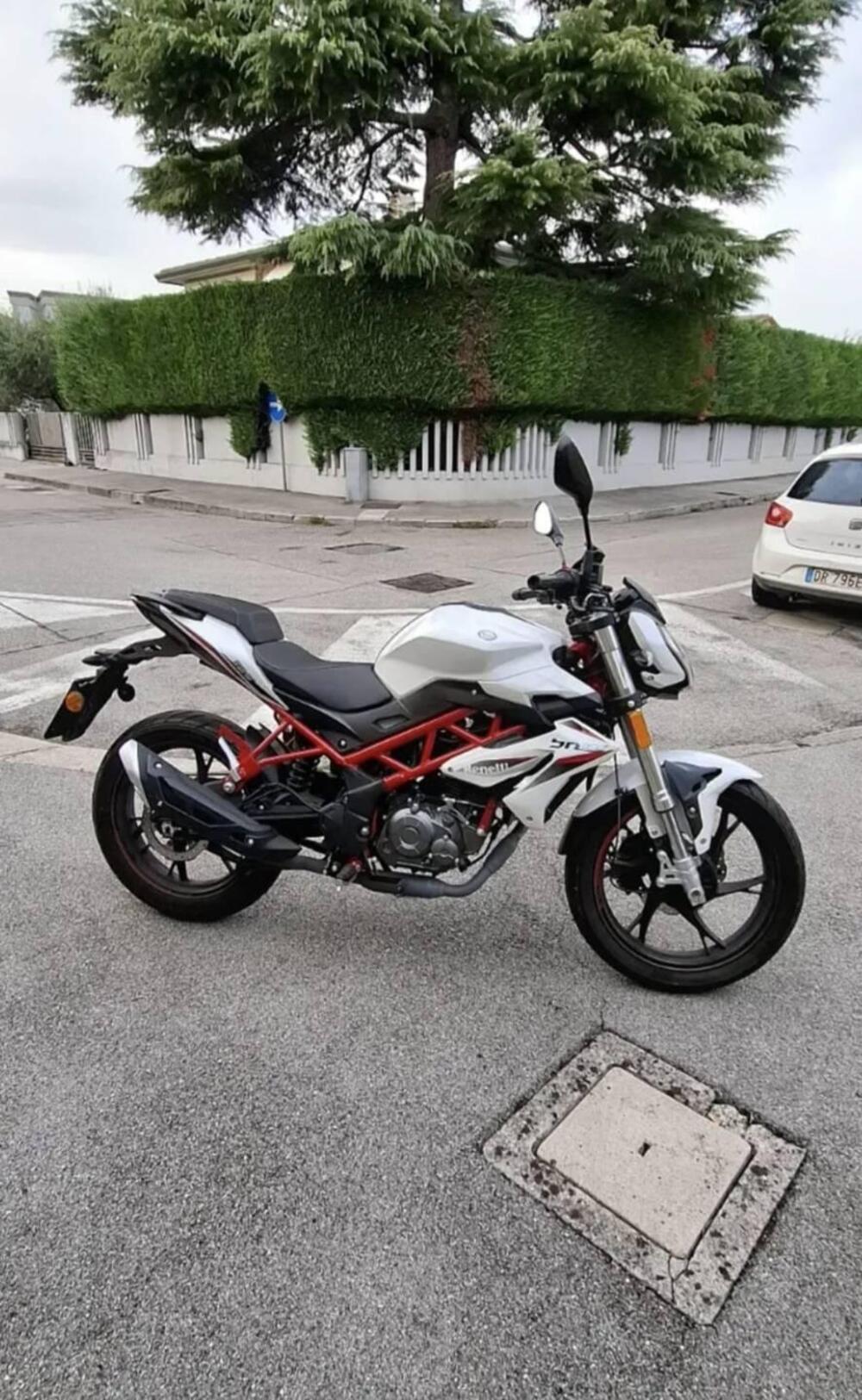 Benelli BN 125 (2021 - 25) (2)