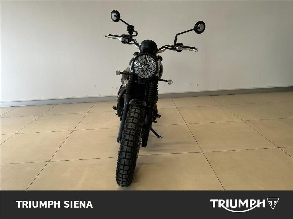 Triumph Street Scrambler 900 (2017 - 18) (2)