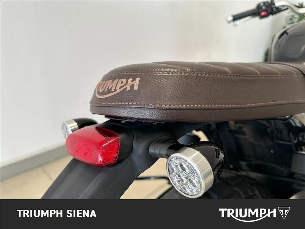 Triumph Street Scrambler 900 (2017 - 18) (8)